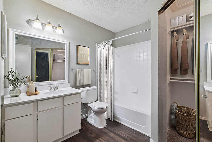Elegant bathroom with modern fixtures, spacious vanity, and inviting tub-shower combo.