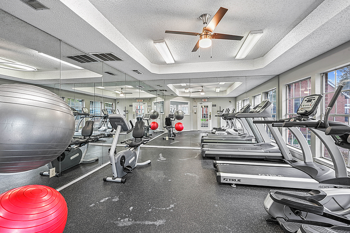 Modern fitness center with state-of-the-art treadmills, exercise bikes, and vibrant exercise balls, framed by large windows for natural light.