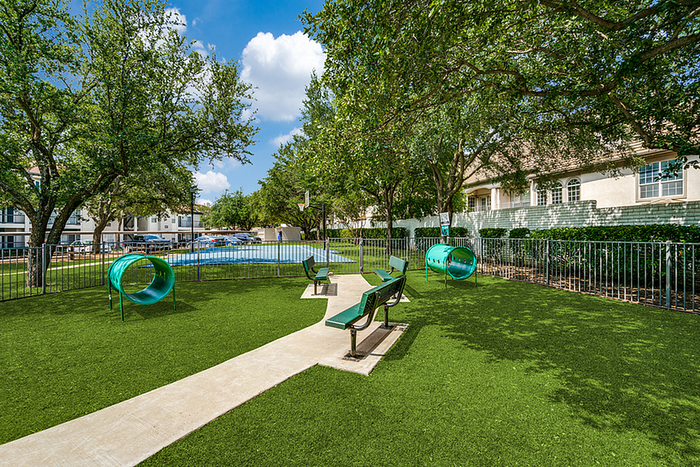 Inviting outdoor dog park with greenery, walking paths, and playful structures.