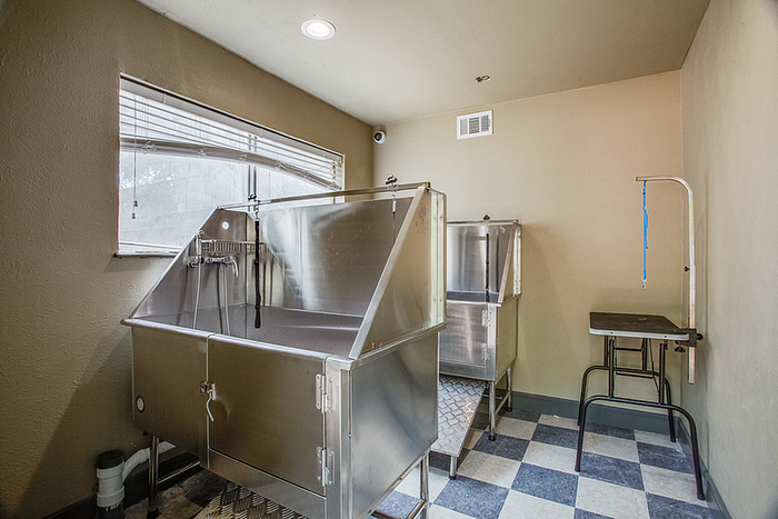 Modern pet grooming station featuring stainless steel wash and grooming tables, ideal for apartment residents.