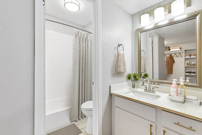 Chic and modern bathroom with stylish vanity, elegant lighting, and organized open closet in serene apartment setting.