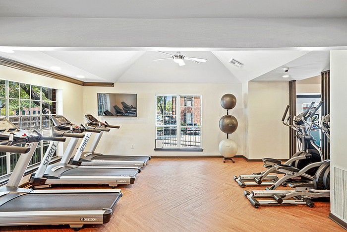 Bright and modern fitness center featuring premium treadmills, elliptical machines, and exercise balls with large windows for natural light.