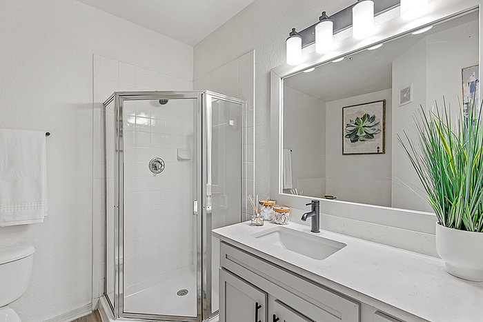 Elegant bathroom with modern shower, sleek vanity, and decorative green plant enhancing the serene atmosphere.
