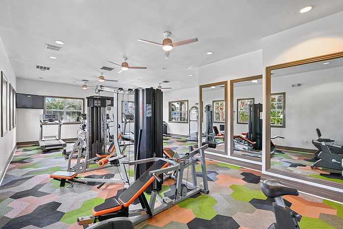 Modern fitness center with vibrant flooring, sleek fitness equipment, and large mirrors for an energetic workout experience.