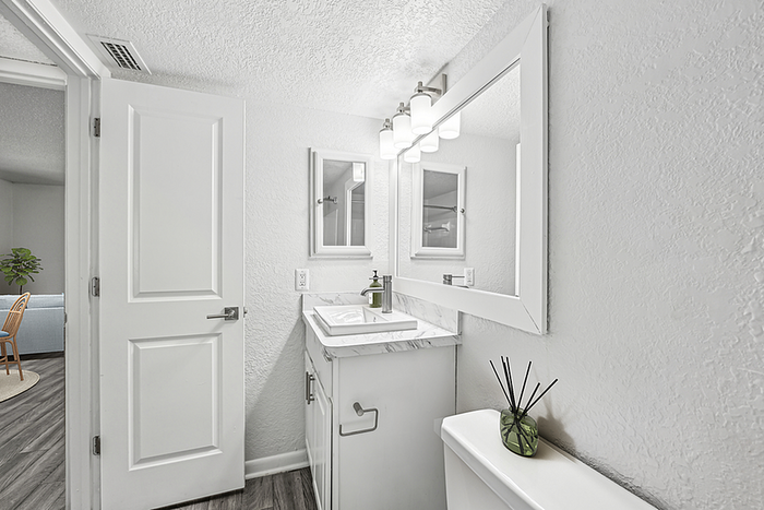 Liv at Winter Park Apartment Homes - Modern Bathroom