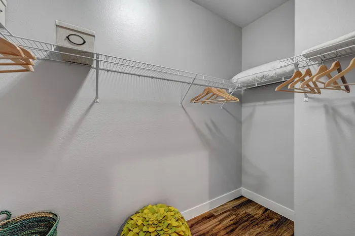 logan-at-southern-highlands-townhome-walk-in-closet