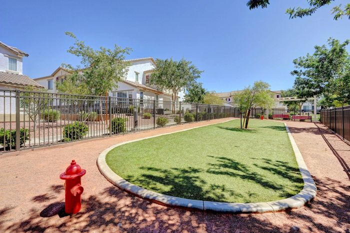 logan-at-southern-highlands-dog-park