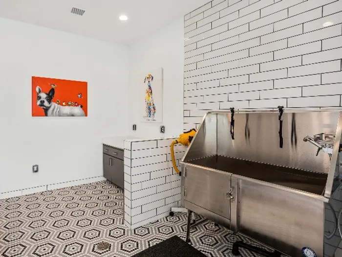dog-wash-room