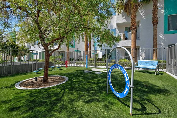 south-beach-pet-park