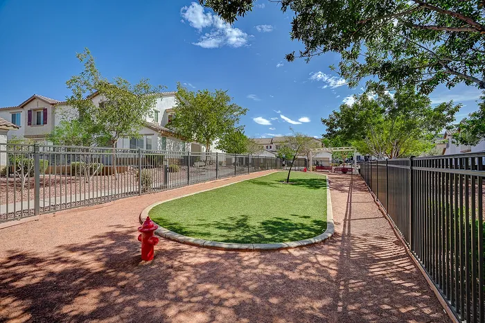 Logan-southern-highlands-dog park
