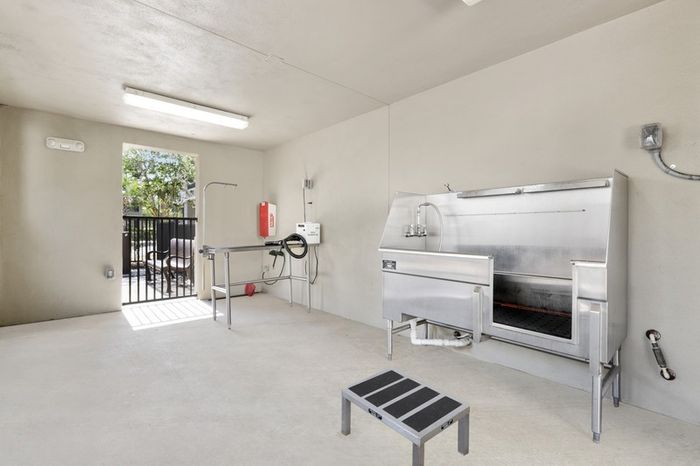 Pet Spa with a professional grooming faucet at Lantower Brandon Crossroads Apartments.