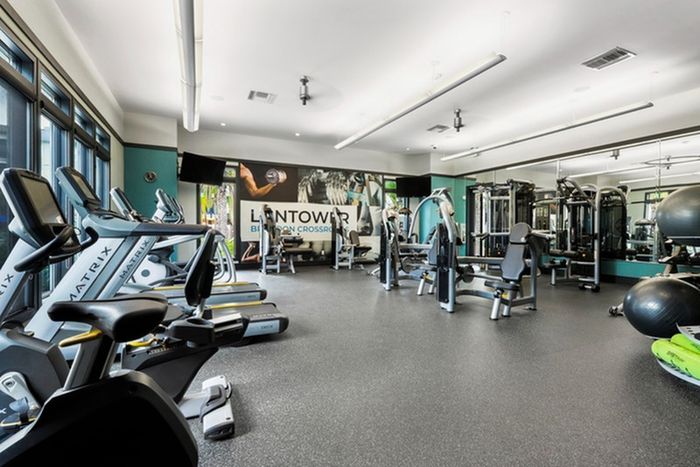 24-Hour Fitness Center with cardio machines, weights, and fitness balls at Lantower Brandon Crossroads Apartments.