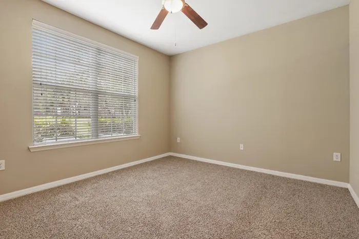 Image of a spacious carpeted bedroom with a ceiling fan and large window with natural sunlight at Lantower Cypress Creek.