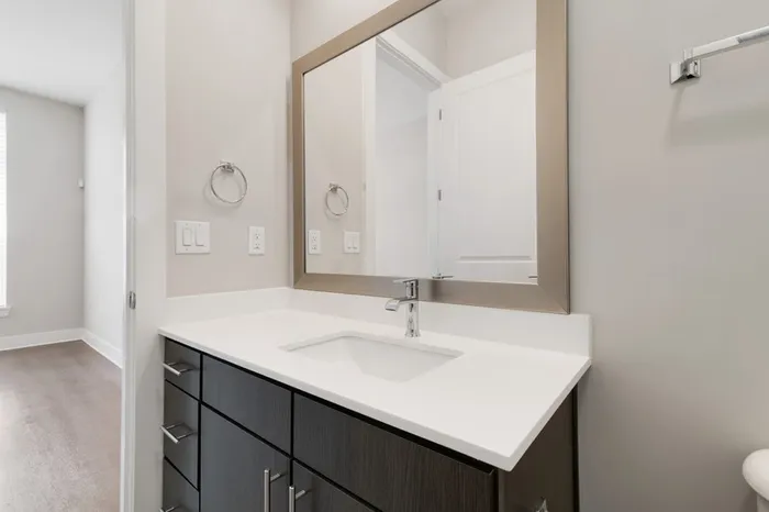 Modern bathroom with dark-colored cabinetry, quartz countertops, 10-12-foot ceilings, and silver hardware at Bullhouse.