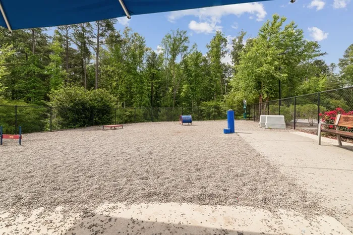 Realm at Patterson Place Pet Park with running space and a ramp.