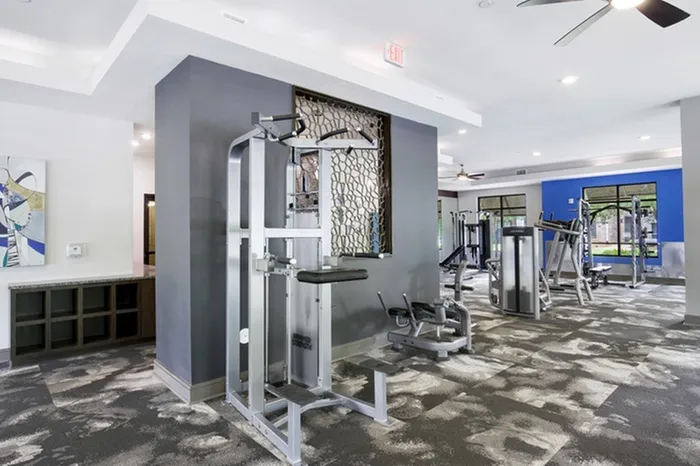 Fully equipped fitness center with free weights, cardio machines, and display monitors at Lantower Waverly Apartments.