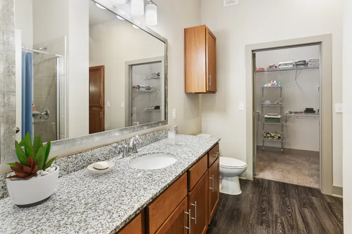 Bathroom with large, rectangle granite countertop on top of wood-style cabinets,a large mirror and a large walk in closet with carpet flooring at Lantower Legacy Lakes