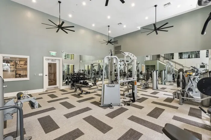 Spacious state-of-the-art fitness center with free weights, TRX, weight machines, and cardio equipment at Lantower Westshore.