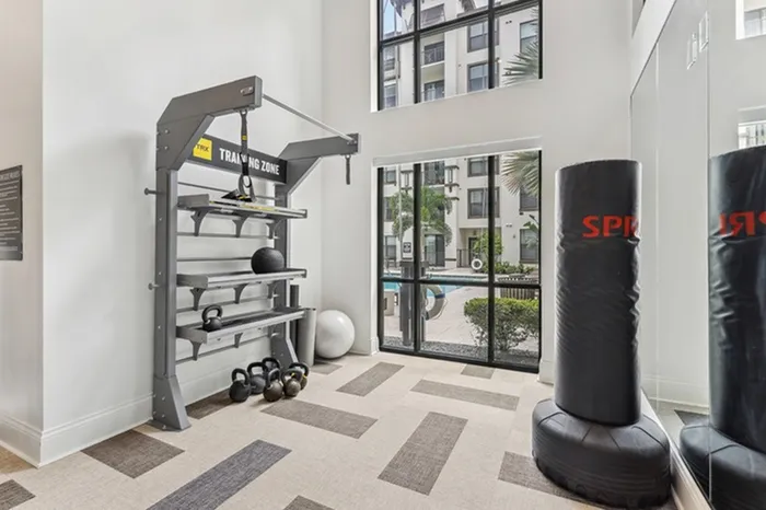 Spacious state-of-the-art fitness center with free weights, TRX, and boxing bag at Lantower Westshore.