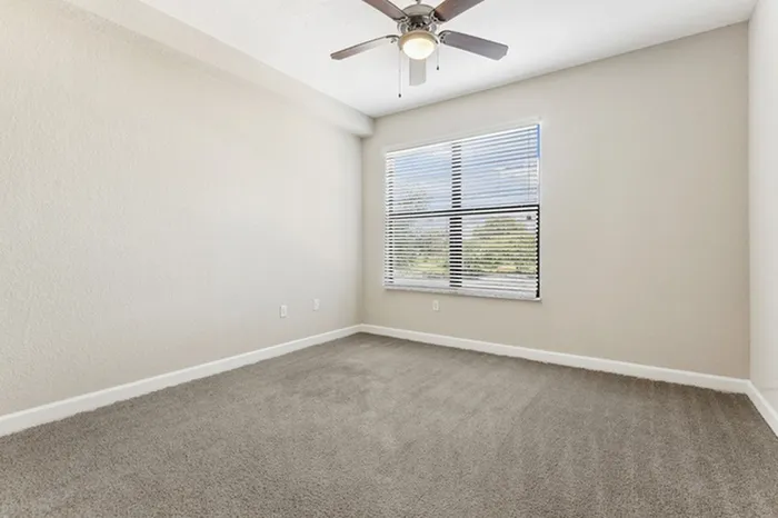 Spacious apartment bedroom with carpet, ceiling fan, and large window for natural light at Lantower Westshore.