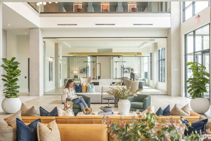 Inviting modern lounge with plush seating, vibrant decor, and abundant natural light, perfect for relaxation and social gatherings.