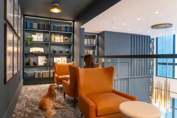 Modern reading nook featuring elegant leather chairs, a tailored bookshelf with decorative items, and a calm ambiance enhanced by soft lighting and a friendly dog.