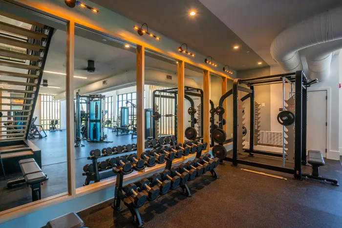 Modern fitness center equipped with state-of-the-art weight machines, elegant lighting, and large windows for natural light.