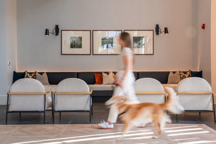 Elegant living area with modern decor, featuring plush chairs, a stylish sofa, and chic wall art, creating a warm and inviting atmosphere.