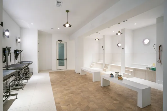 High-end pet grooming facility with modern wash stations, stylish lighting, and elegant tiled flooring.