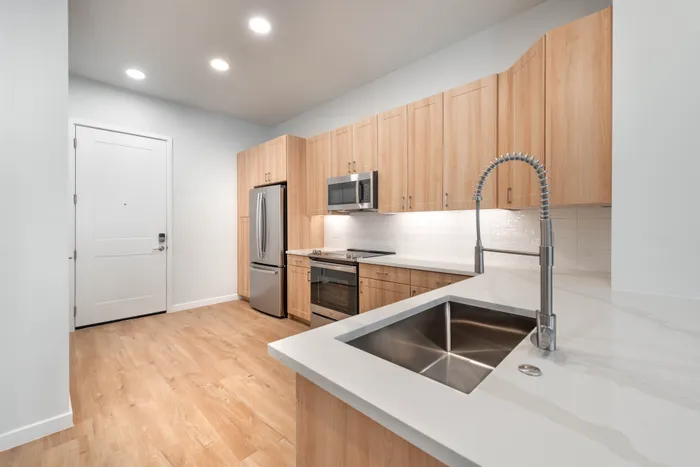 Modern kitchen with sleek stainless steel appliances, elegant wooden cabinetry, and a stylish faucet in a bright, airy apartment.