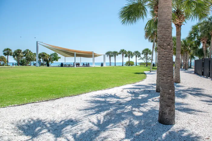 Serene beachfront park with lush green lawn, shaded seating area, and majestic palm trees under a clear blue sky.