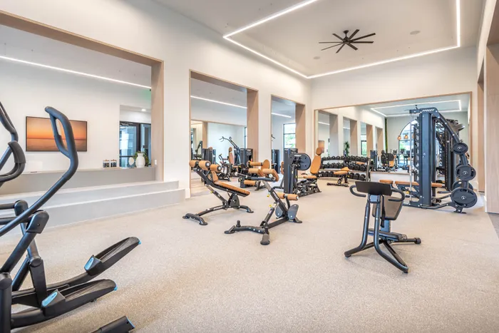 Luxurious gym space with modern fitness equipment, ample natural lighting, and sleek design.