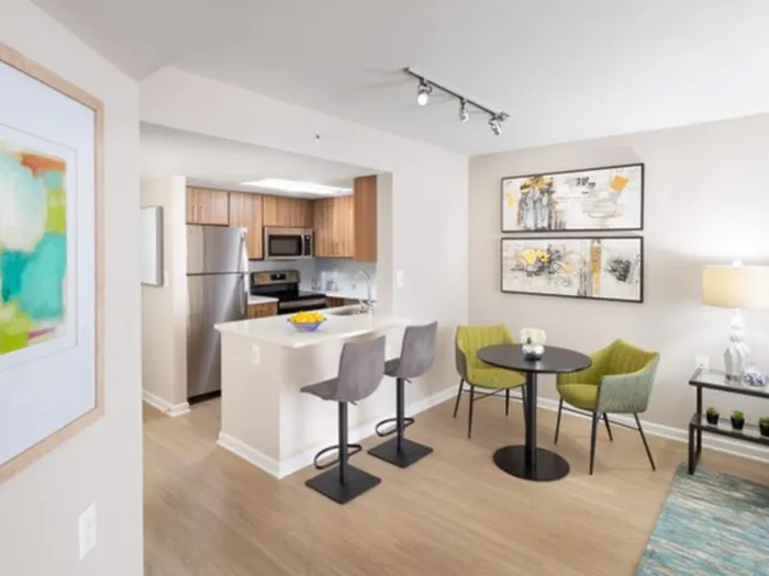 Spacious Living Room | Newly Renovated| Luxury Apartments In Arlington VA | Meridian at Ballston Commons
