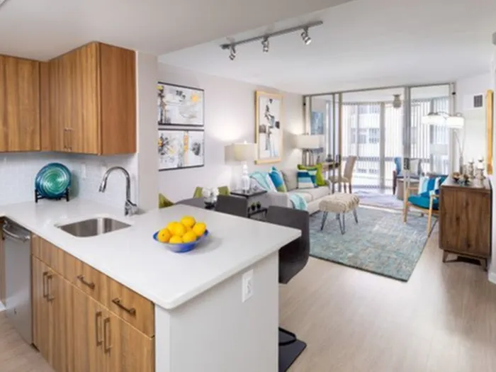 Luxurious Living Area with Sunroom | Luxury Apartments In Arlington VA | Meridian at Ballston Commons