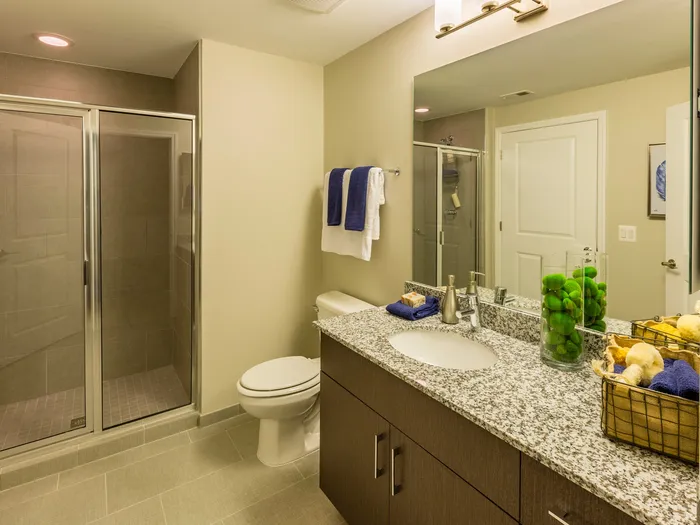 Elegant Primary Bathroom | Apartments Alexandria, VA | Parc Meridian at Eisenhower Station