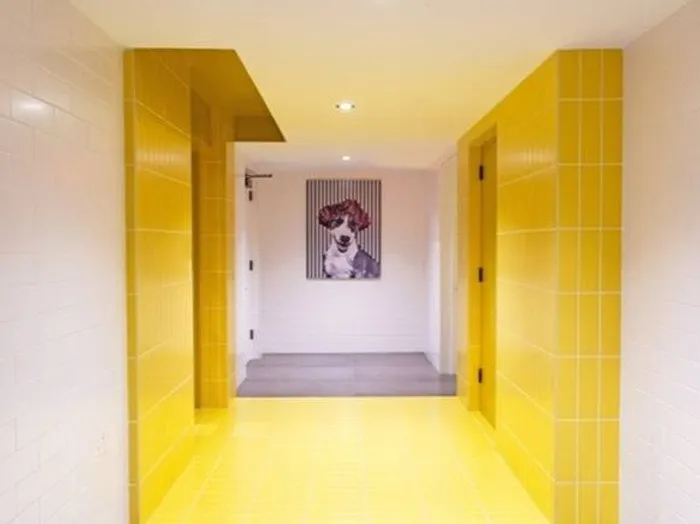 Pet Spa | Meridian on First | Navy Yard Apartments | Washington DC Apartments