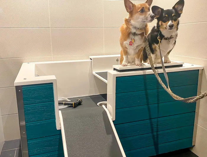 Pet Spa | Meridian on First | Luxury Navy Yard Apartments | Washington DC Apartments