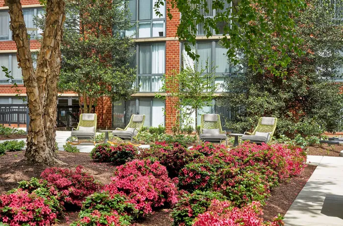 Newly Renovated Landscaped Courtyard with Cozy Seating Areas | Meridian at Courthouse Commons | Apartments in Arlington, VA