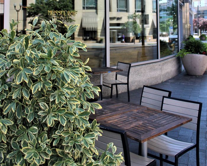 Mussel Bar Ballston | Ballston Park | Arlington Apartments for Rent