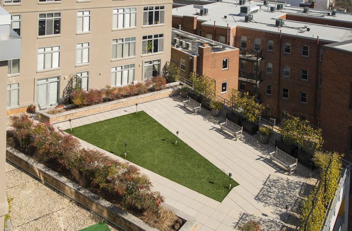Zen Garden | Apartments For Rent Washington DC | Park Triangle Apartments Lofts and Flats