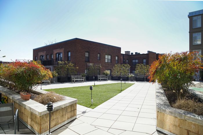 Beautifully Landscaped Grounds | Apartments For Rent Washington DC | Park Triangle Apartments Lofts and Flats