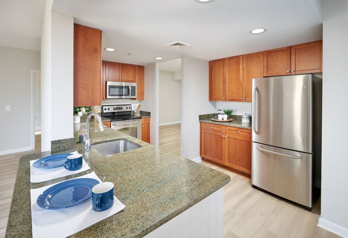 Image of Newly Renovated Kitchen | Carlyle Place | Alexandria Apartments