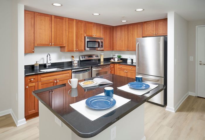 Image of Newly Renovated Kitchen | Carlyle Place | Alexandria Apartments