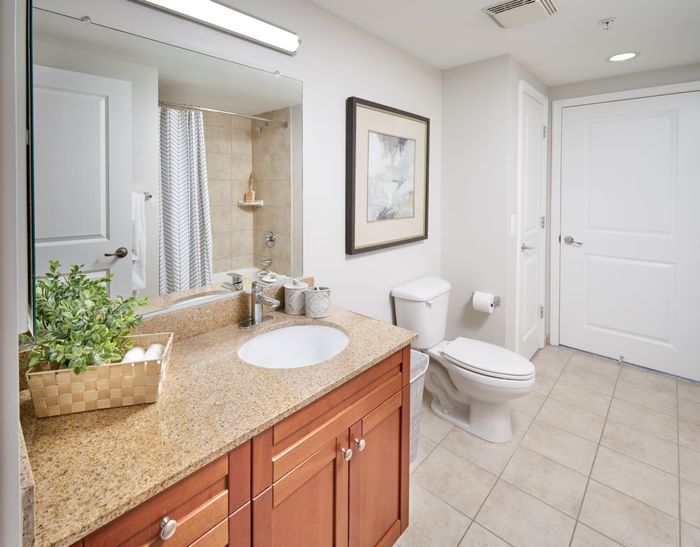 Bathroom | Carlyle Place | Alexandria Apartments
