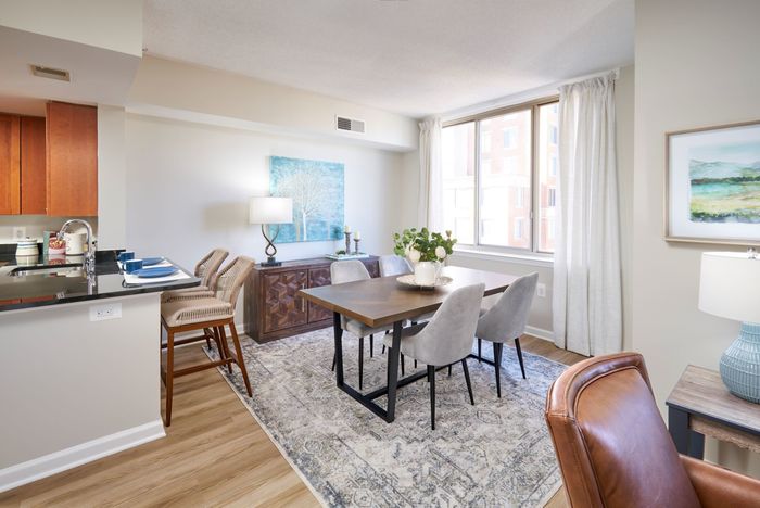 Newly Renovated Apartment With Wood-Style Flooring Throughout | Carlyle Place | Alexandria Apartments
