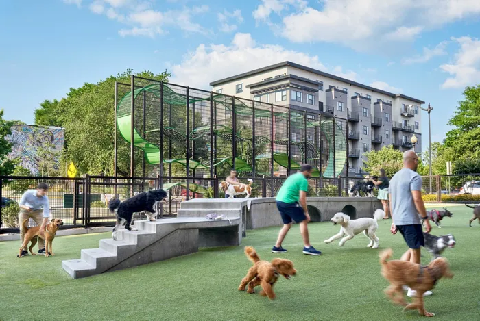 Swampdoodle Dog Park Near 360H Apartments | Apartments in Washington DC | 360H Apartments