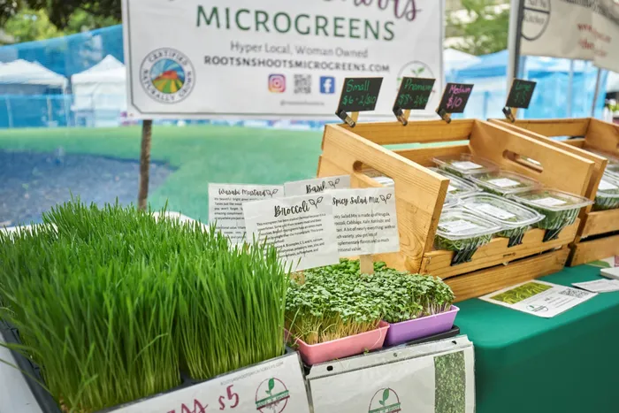 Every Thursday April Into November Support Local at Welburn Square Farmers Market Just Outside Our Doors | Meridian at Ballston Commons | Arlington VA Apartments | Ballston VA Apartments