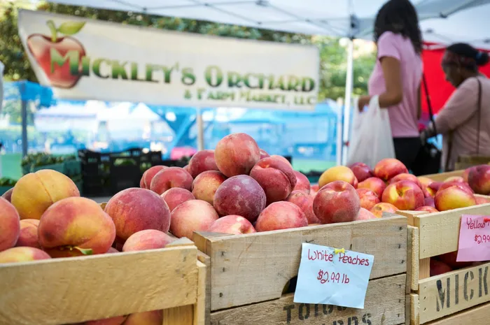 Every Thursday April Into November Support Local at Welburn Square Farmers Market Just Outside Our Doors | Meridian at Ballston Commons | Arlington VA Apartments | Ballston VA Apartments
