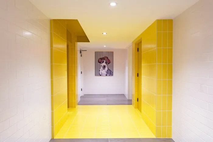 Pamper Your Pets in the Pet Spa Located in Phase I | Meridian on First | Navy Yard Apartments | Washington DC Apartments