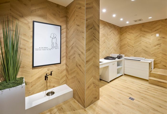 Brand New Pet Spa | Carlyle Place | Luxury Alexandria VA Apartments
